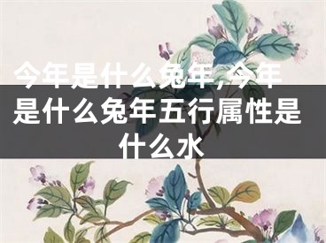 今年是什么兔年,今年是什么兔年五行属性是什么水