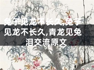 兔子见龙不长久,兔子见龙不长久,青龙见兔泪交流原文