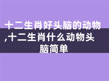 十二生肖好头脑的动物,十二生肖什么动物头脑简单