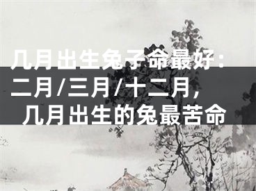几月出生兔子命最好：二月/三月/十二月,几月出生的兔最苦命
