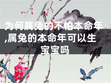 为何属兔的不怕本命年,属兔的本命年可以生宝宝吗
