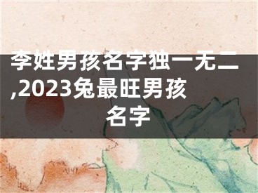 李姓男孩名字独一无二,2023兔最旺男孩名字