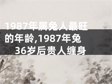 1987年属兔人最旺的年龄,1987年兔36岁后贵人缠身