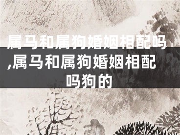 属马和属狗婚姻相配吗,属马和属狗婚姻相配吗狗的