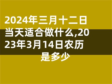 2024年三月十二日当天适合做什么,2023年3月14日农历是多少