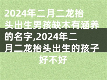 2024年二月二龙抬头出生男孩缺木有涵养的名字,2024年二月二龙抬头出生的孩子好不好