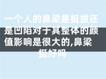 一个人的鼻梁是挺拔还是凹陷对于其整体的颜值影响是很大的,鼻梁挺好吗