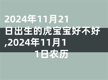 2024年11月21日出生的虎宝宝好不好,2024年11月11日农历