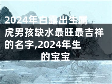 2024年白露出生属虎男孩缺水最旺最吉祥的名字,2024年生的宝宝