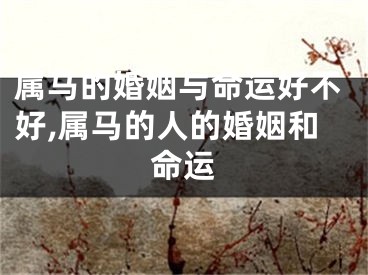 属马的婚姻与命运好不好,属马的人的婚姻和命运