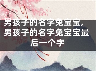 男孩子的名字兔宝宝,男孩子的名字兔宝宝最后一个字