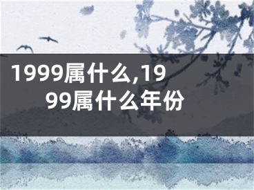1999属什么,1999属什么年份
