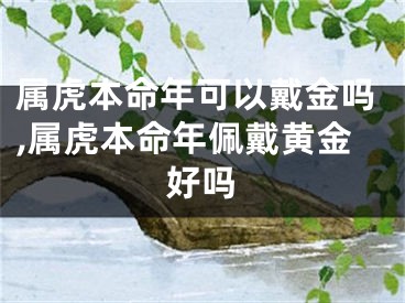 属虎本命年可以戴金吗,属虎本命年佩戴黄金好吗