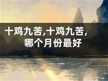 十鸡九苦,十鸡九苦,哪个月份最好
