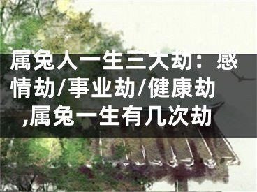 属兔人一生三大劫：感情劫/事业劫/健康劫,属兔一生有几次劫