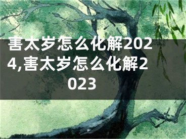 害太岁怎么化解2024,害太岁怎么化解2023