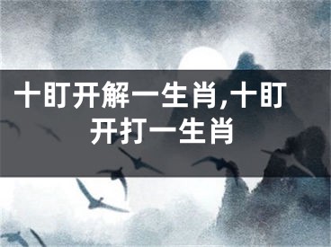 十盯开解一生肖,十盯开打一生肖
