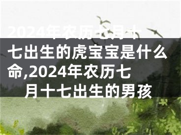 2024年农历七月十七出生的虎宝宝是什么命,2024年农历七月十七出生的男孩