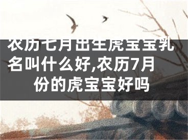 农历七月出生虎宝宝乳名叫什么好,农历7月份的虎宝宝好吗