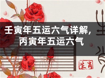 壬寅年五运六气详解,丙寅年五运六气