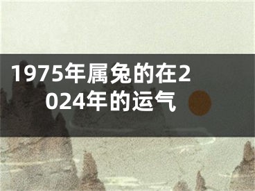 1975年属兔的在2024年的运气
