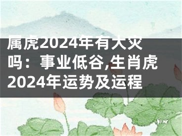 属虎2024年有大灾吗：事业低谷,生肖虎2024年运势及运程