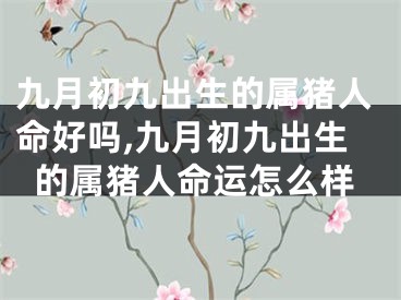 九月初九出生的属猪人命好吗,九月初九出生的属猪人命运怎么样