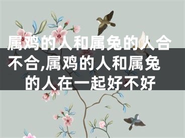 属鸡的人和属兔的人合不合,属鸡的人和属兔的人在一起好不好