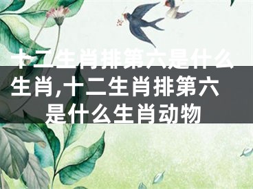 十二生肖排第六是什么生肖,十二生肖排第六是什么生肖动物