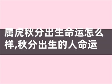 属虎秋分出生命运怎么样,秋分出生的人命运