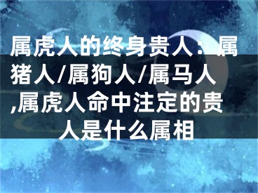 属虎人的终身贵人：属猪人/属狗人/属马人,属虎人命中注定的贵人是什么属相