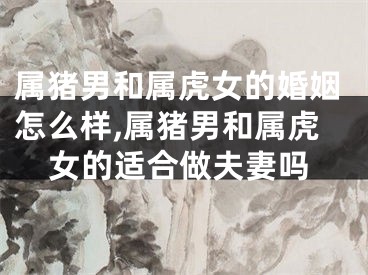 属猪男和属虎女的婚姻怎么样,属猪男和属虎女的适合做夫妻吗