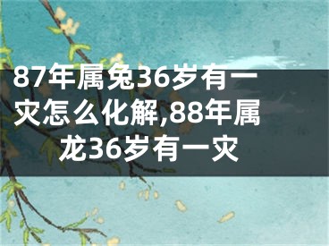 87年属兔36岁有一灾怎么化解,88年属龙36岁有一灾