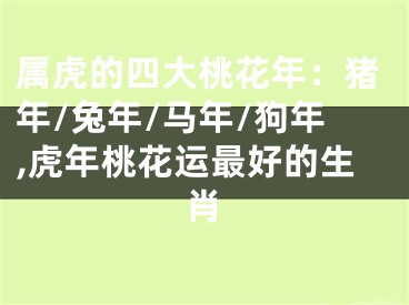 属虎的四大桃花年：猪年/兔年/马年/狗年,虎年桃花运最好的生肖