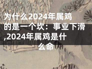 为什么2024年属鸡的是一个坎：事业下滑,2024年属鸡是什么命