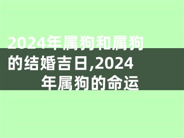 2024年属狗和属狗的结婚吉日,2024年属狗的命运