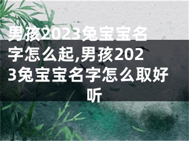 男孩2023兔宝宝名字怎么起,男孩2023兔宝宝名字怎么取好听