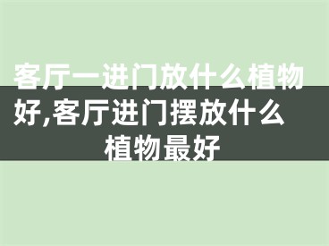 客厅一进门放什么植物好,客厅进门摆放什么植物最好