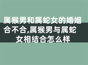 属猴男和属蛇女的婚姻合不合,属猴男与属蛇女相结合怎么样