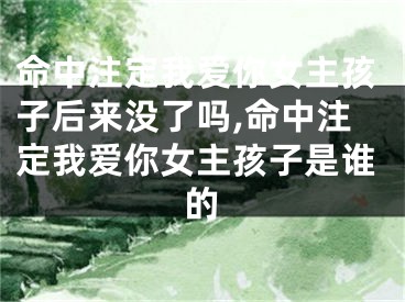 命中注定我爱你女主孩子后来没了吗,命中注定我爱你女主孩子是谁的