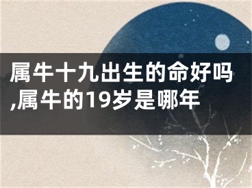 属牛十九出生的命好吗,属牛的19岁是哪年