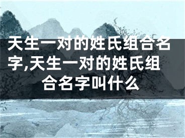 天生一对的姓氏组合名字,天生一对的姓氏组合名字叫什么