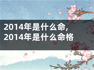 2014年是什么命,2014年是什么命格