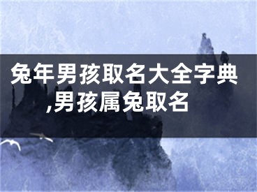 兔年男孩取名大全字典,男孩属兔取名