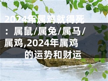 2024年属鸡就得死：属鼠/属兔/属马/属鸡,2024年属鸡的运势和财运