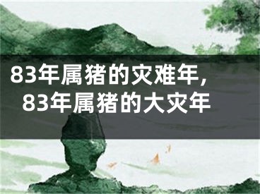 83年属猪的灾难年,83年属猪的大灾年