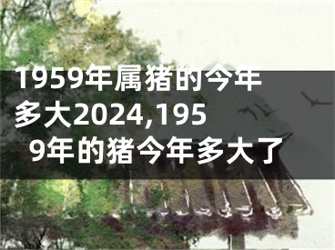1959年属猪的今年多大2024,1959年的猪今年多大了