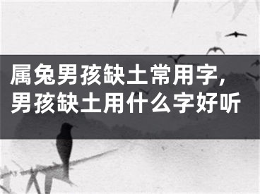 属兔男孩缺土常用字,男孩缺土用什么字好听