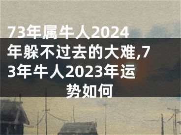 73年属牛人2024年躲不过去的大难,73年牛人2023年运势如何