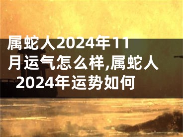 属蛇人2024年11月运气怎么样,属蛇人2024年运势如何